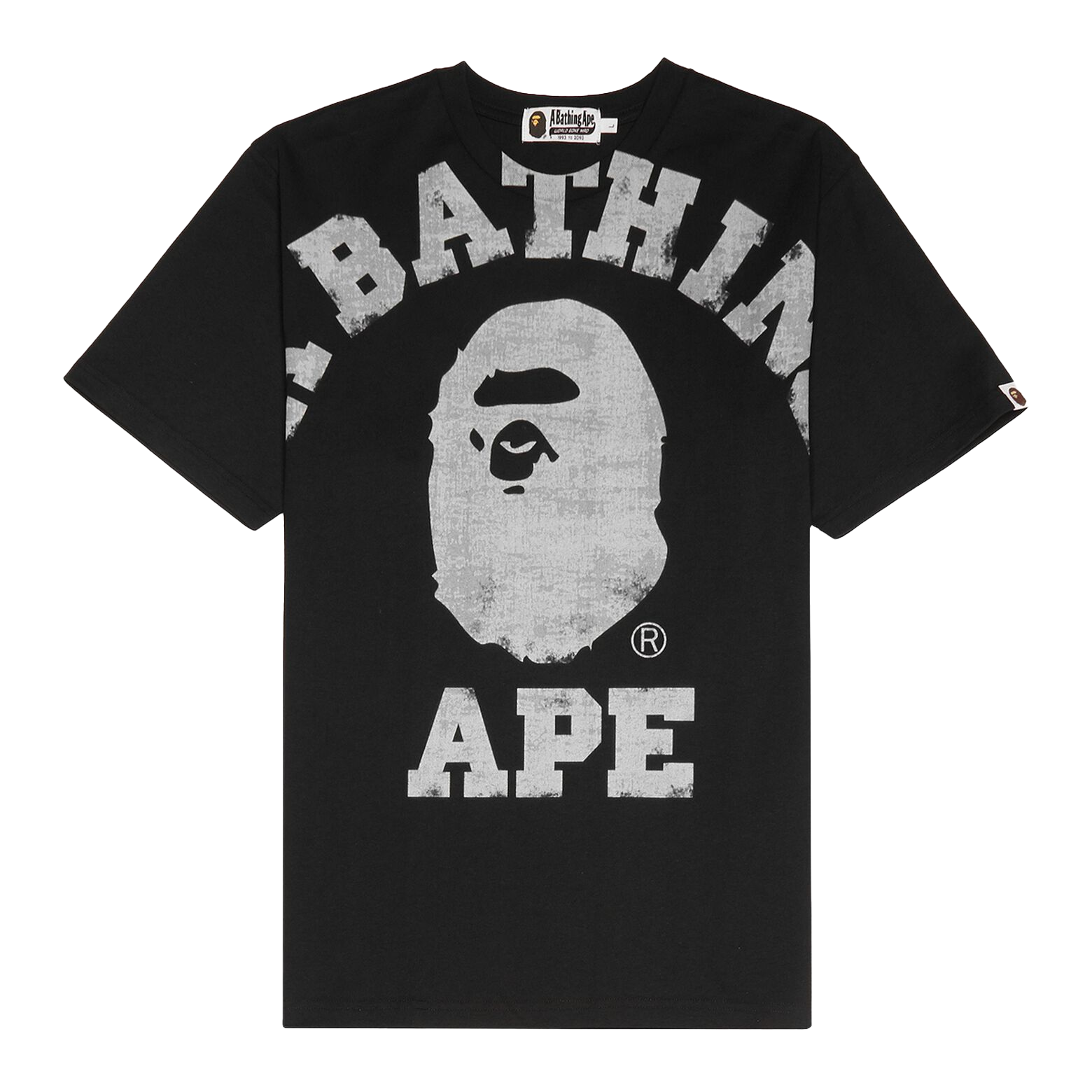 BAPE Overprinted College Tee