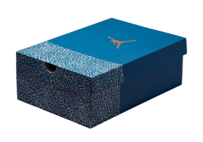 Nike Air Jordan 3 Retro Wizards