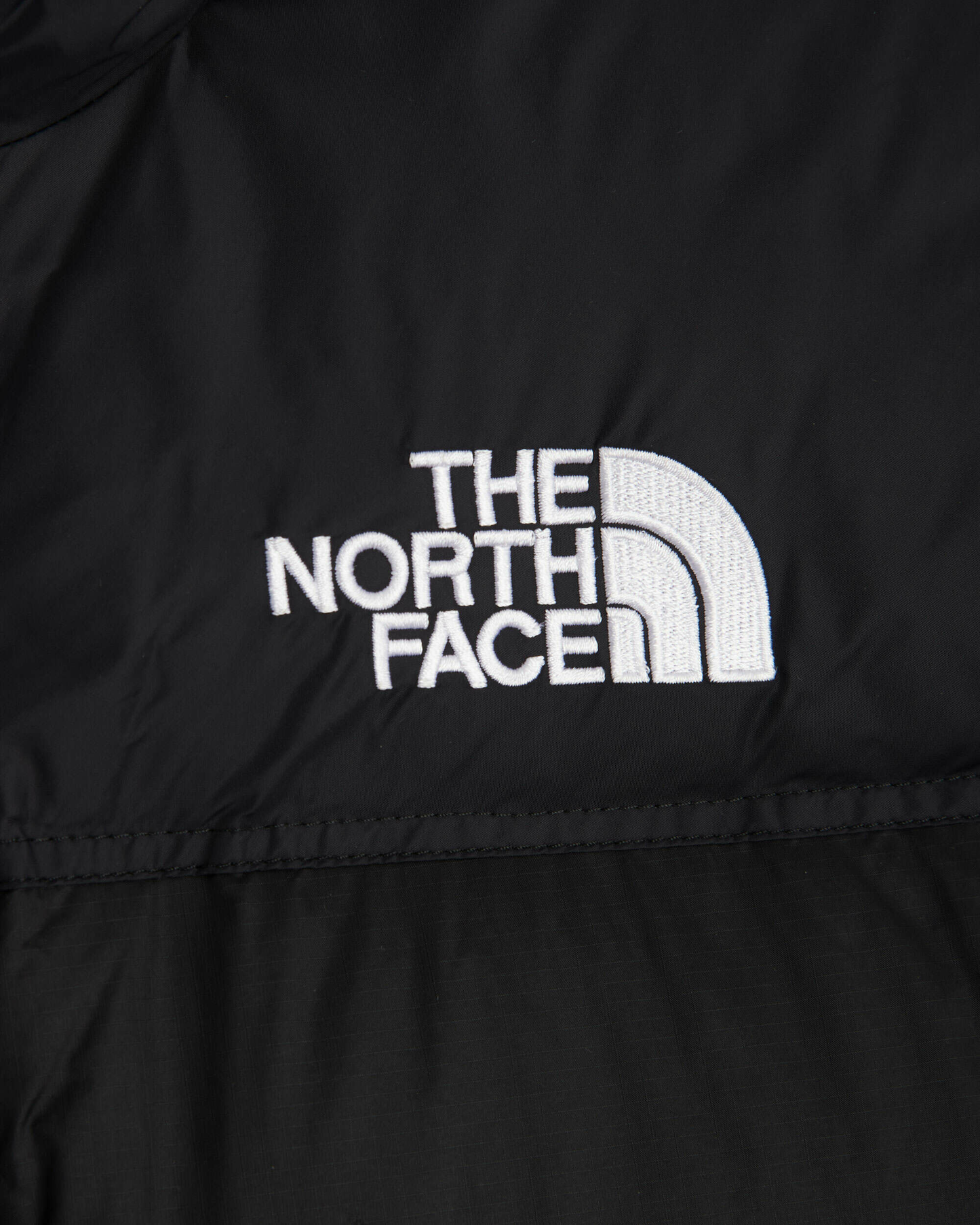 The North Face 1996 Nuptse 700 Puffer Jacket