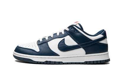 Nike Dunk Low Valerian Blue